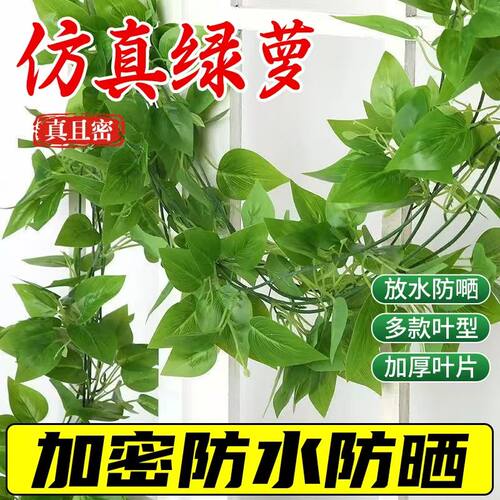 仿真绿叶篱笆网植物墙装饰栅栏阳台遮挡围挡吊顶墙面绿萝围墙绿植
