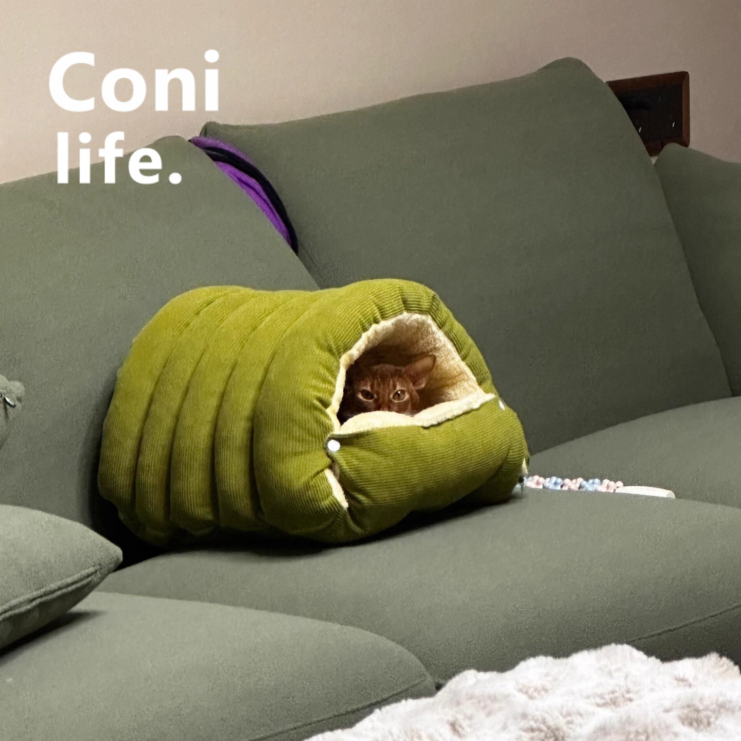 Coni life猫窝冬季保暖加厚狗窝可拆洗猫咪睡袋窝封闭式安全感窝