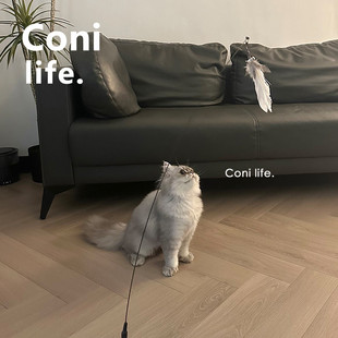 Coni life猫咪逗猫棒自嗨解闷弹性懒人福音吸盘羽毛自动猫猫玩具