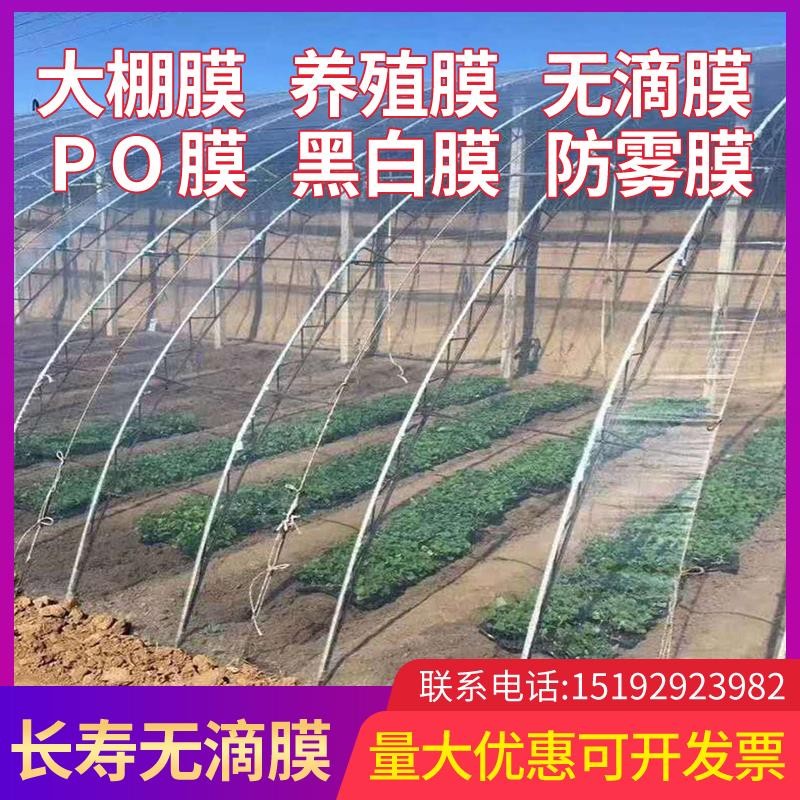 进口大棚膜蔬菜保温加厚无滴膜PO膜透明塑料薄膜抗老化养殖黑白膜