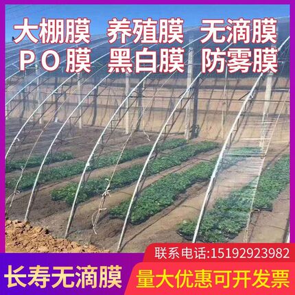 进口大棚膜蔬菜保温加厚无滴膜PO膜透明塑料薄膜抗老化养殖黑白膜