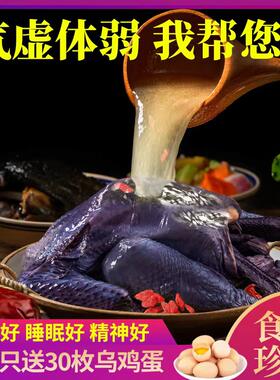 原种泰和乌鸡新鲜现杀散养乌骨鸡