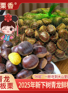 满栗香2025年新鲜板栗生栗子 青龙板栗  河北特产5斤装 坚果零食