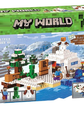 中国积木我的世界雪中巢穴雪山藏匿处21120儿童拼装10391玩具