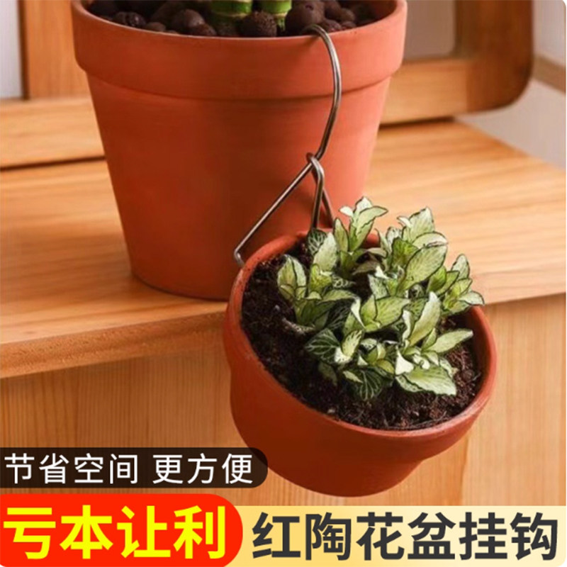 青山盆挂钩 壁挂蝴蝶兰吊钩吊兰不锈钢悬挂式红陶花盆固定器钩子