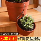 青山盆挂钩 红陶花盆固定器钩子 壁挂蝴蝶兰吊钩吊兰不锈钢悬挂式
