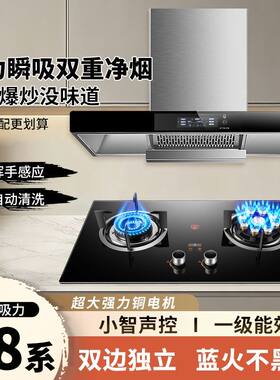 新飞家用油烟机瓦斯炉套