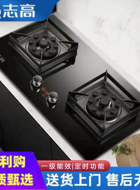 志高燃气灶家用双灶天然