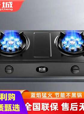 长城燃气灶台式双灶家用