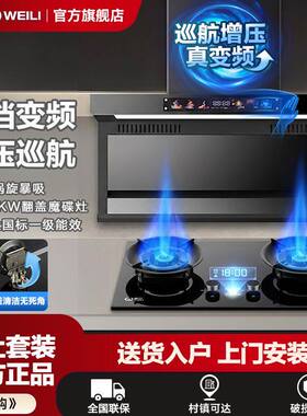 威力油烟机家用厨房顶侧