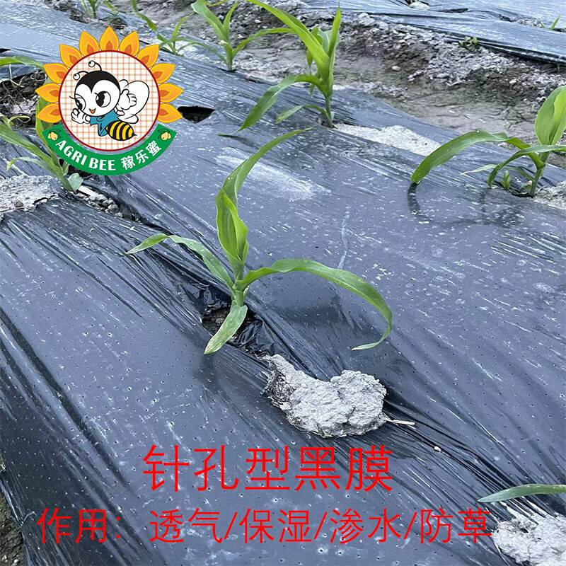 农膜微孔地膜农用防草塑料薄膜小孔地膜透气渗水打孔黑地膜