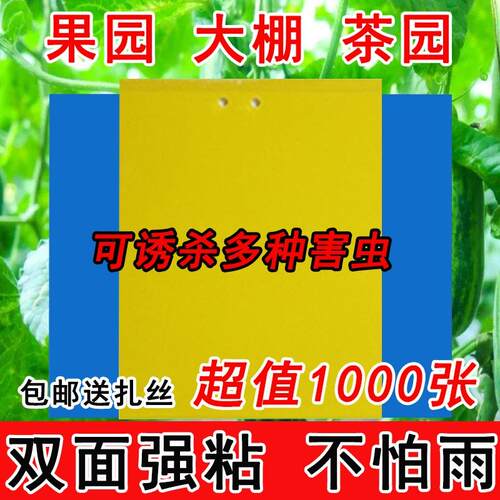 防水强力热销黄色本地粘虫板