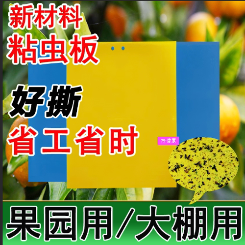 粘虫板黄板双面粘虫板大棚果园防虫板蓝色诱虫板粘虫纸蓝板蓟马贴