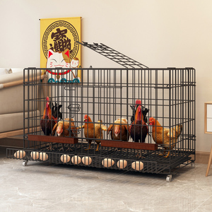 鸡笼子家用养鸡笼大号特大号自动清粪折叠养殖笼鸡舍铁丝网鸭狗笼