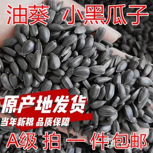 黑珍珠小瓜子油葵籽鹦鹉鸟食仓鼠鸟粮鸽粮产地包邮麻子火麻仁新粮
