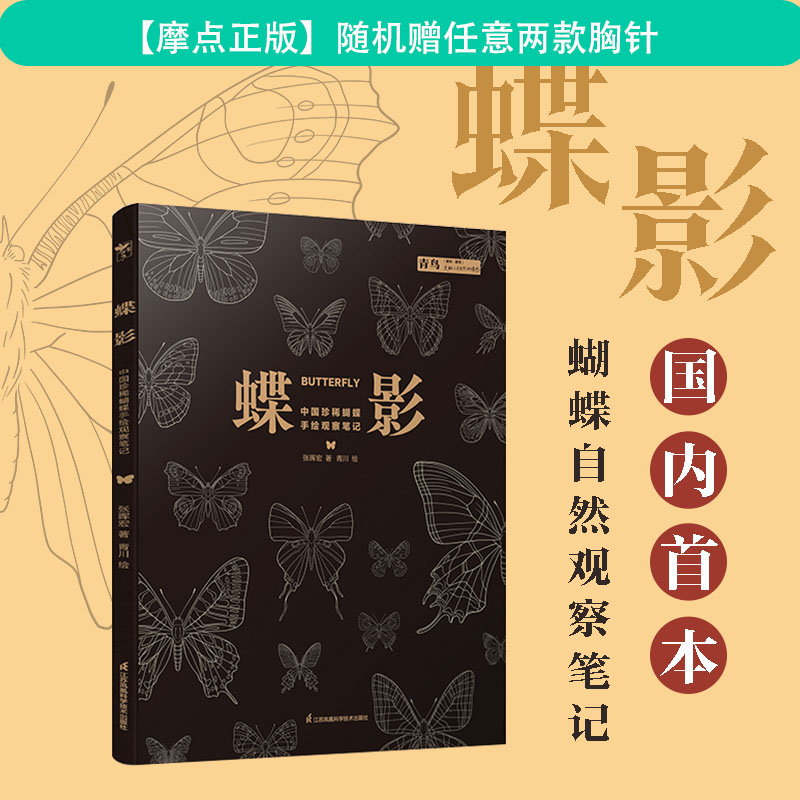 赠任意两款胸针蝶影中国珍稀蝴蝶