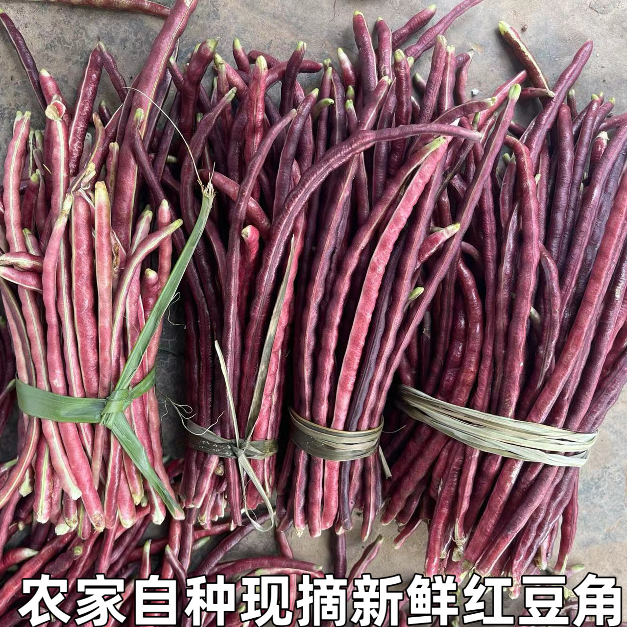 湖北特产新鲜蔬菜农家自种秋豆角嫩红豆角缸豆紫豆角草里爬红豆角