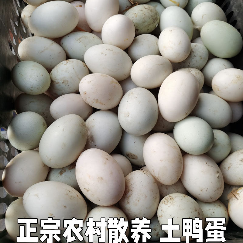 正宗农村自养土鸭蛋新鲜发货