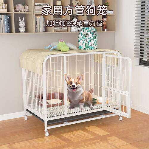 全管狗笼子大型犬中型犬狗笼金毛萨摩耶边牧拉布拉多室内狗笼大型