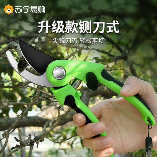 园艺剪刀果树修枝剪花艺花卉剪子剪枝园林工具花剪葡萄枝修剪1648
