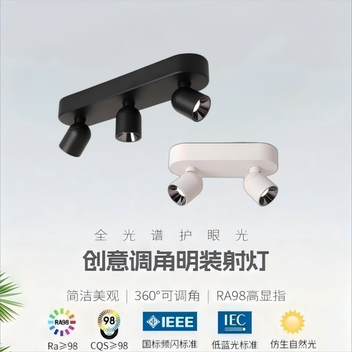 明装全光谱护眼可调角射灯
