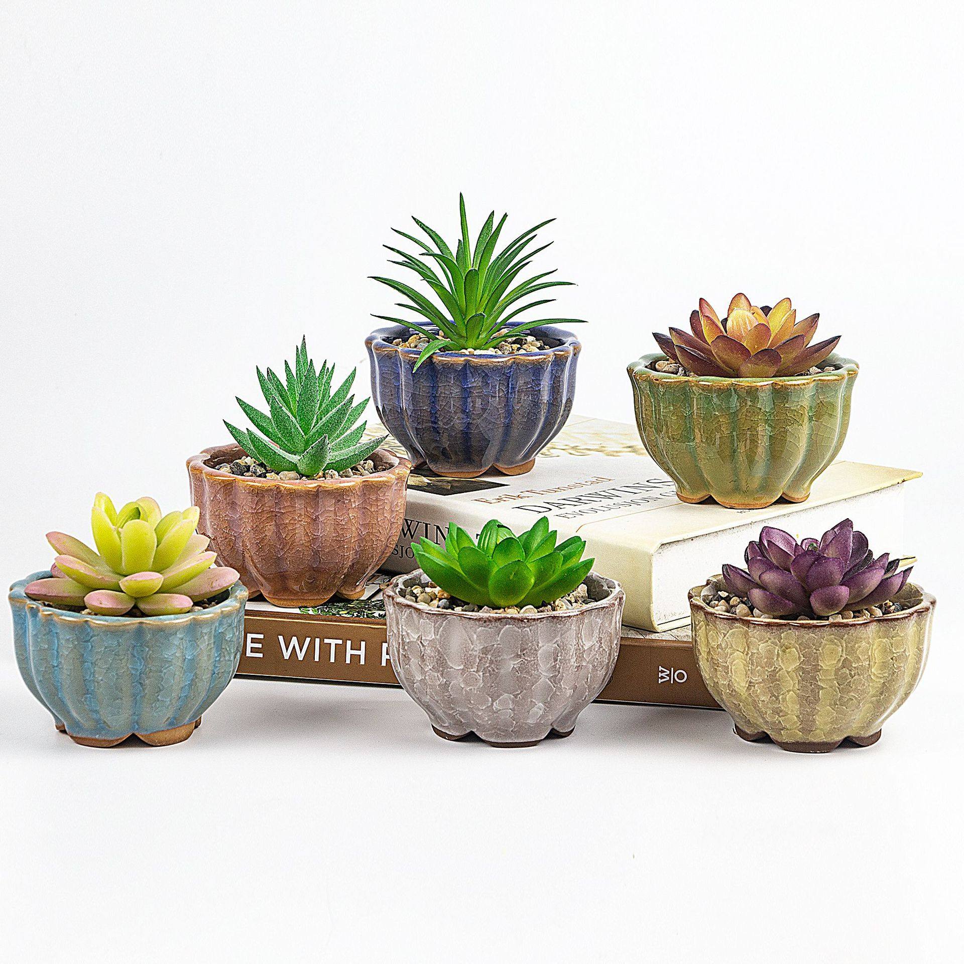 精致小花盆冰裂莲花杯陶瓷小花缸办公桌盆栽阳台迷你多肉