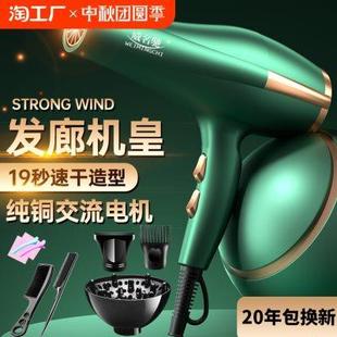 德国电吹风机家用大功率理发店蓝光负离子护发冷热风风筒按键智能