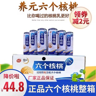 养元六个核桃整箱罐装24罐养元六个核桃240ml植物饮品饮料核桃乳