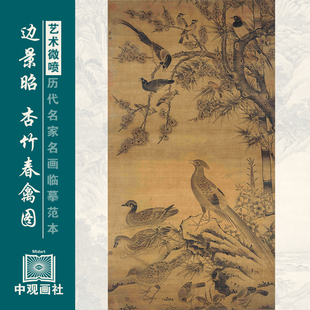 边景昭杏竹春禽图传统花鸟画临摹范本国画原作微喷复制中古装 饰画