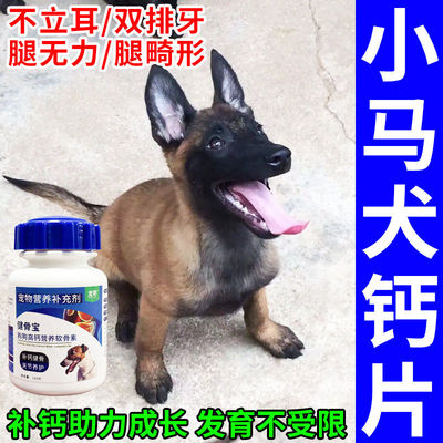 马犬专用钙片高钙小马犬幼犬补钙壮骨助立耳腿瘸无力趴蹄狗狗钙片