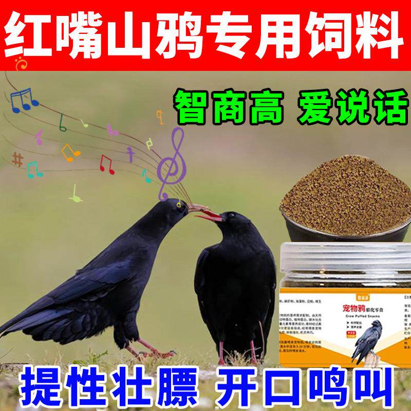 红嘴山鸦饲料鸦科鸟专用饲料蓝鸦寒鸦喜鹊白颈乌鸦通用营养颗粒粮