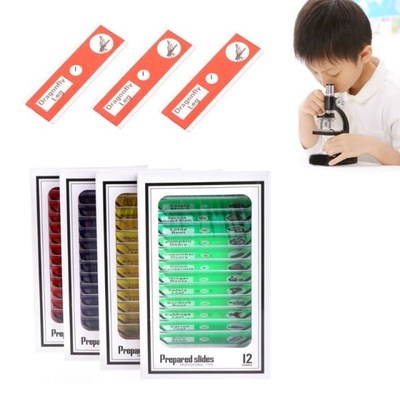 48 Pcs Prepared Microscope Slides Specimen Animals Insects P