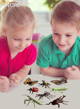 Educational Toys 8PCS Siu1latio I&nsemct Model Childrenn#39;