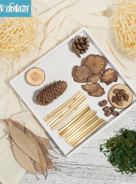 Forest DIY Craft Ornaments Home Decor For Photography Backgr