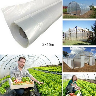 15m Transparent Vegetable Greenhouse Agricultural Cultivatio