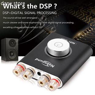 Nosoun Hi Fi DSP TA3116P Digitalb Powerd1 Amplifier Hifi Ste