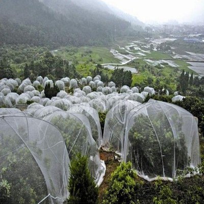 5m 80Mesh Insect Netting Fruit Trees Pest Control Plants Pro