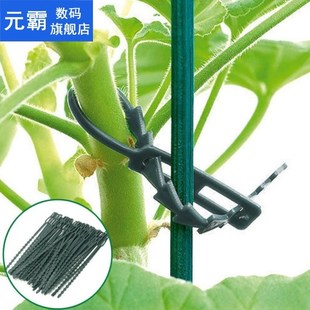 Garden Tools Anti-corrosion Adjustable Plastic Cable Ties Pl