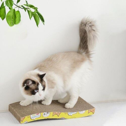 6 Style Cat Scratcher Cardboard Cat Scraper Toys for Cats Sc