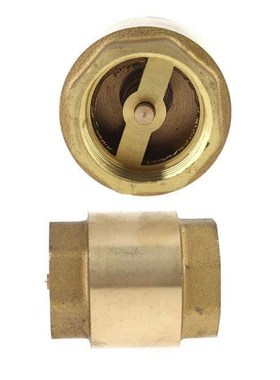 One-way Backstop Spring Check Valve Double Inner Wire Pump P