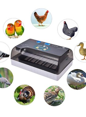 Dreamburgh Farm Hatchery Incubator Brooder Machine 4-35 Egg