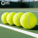 训练网球儿童专用幼儿园网球宠物球狗狗玩具网球球 郑钦文同款