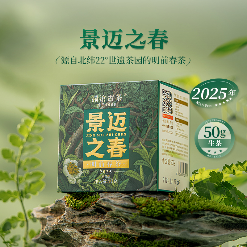 茶妈妈澜沧古茶2025年景迈之春普洱茶生茶景迈山明前春茶散茶50g