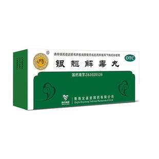 宝鉴堂 银翘解毒丸 9g*10丸/盒