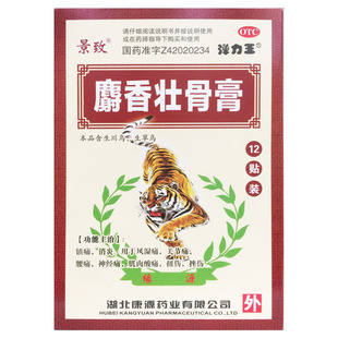 10cm 7cm 12贴镇痛消炎关节痛风湿痛腰痛神经痛 麝香壮骨膏 景致