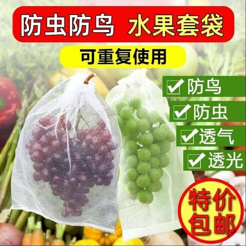 水果葡萄套袋防虫防鸟白色纱网袋子透气防果蝇套树苗枇杷果树网袋