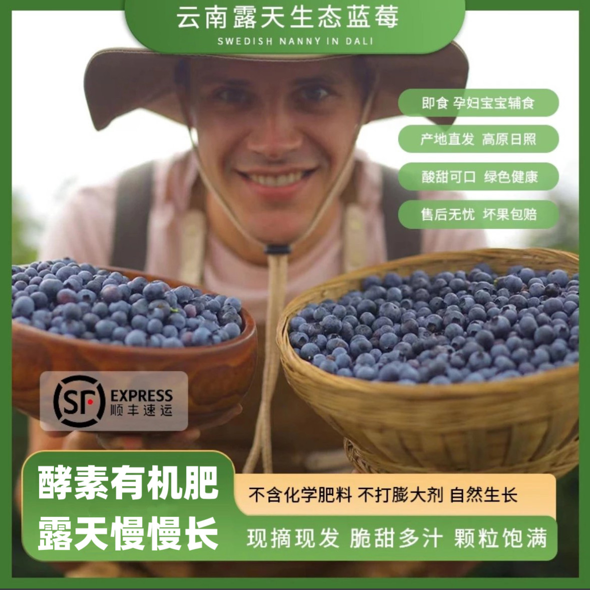 云南蓝莓鲜果大理高原露天生态现摘农场直销浆果宝宝孕妇水果顺丰