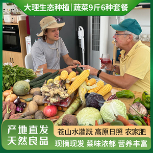 大理生态蔬菜套餐9斤可自选顺丰