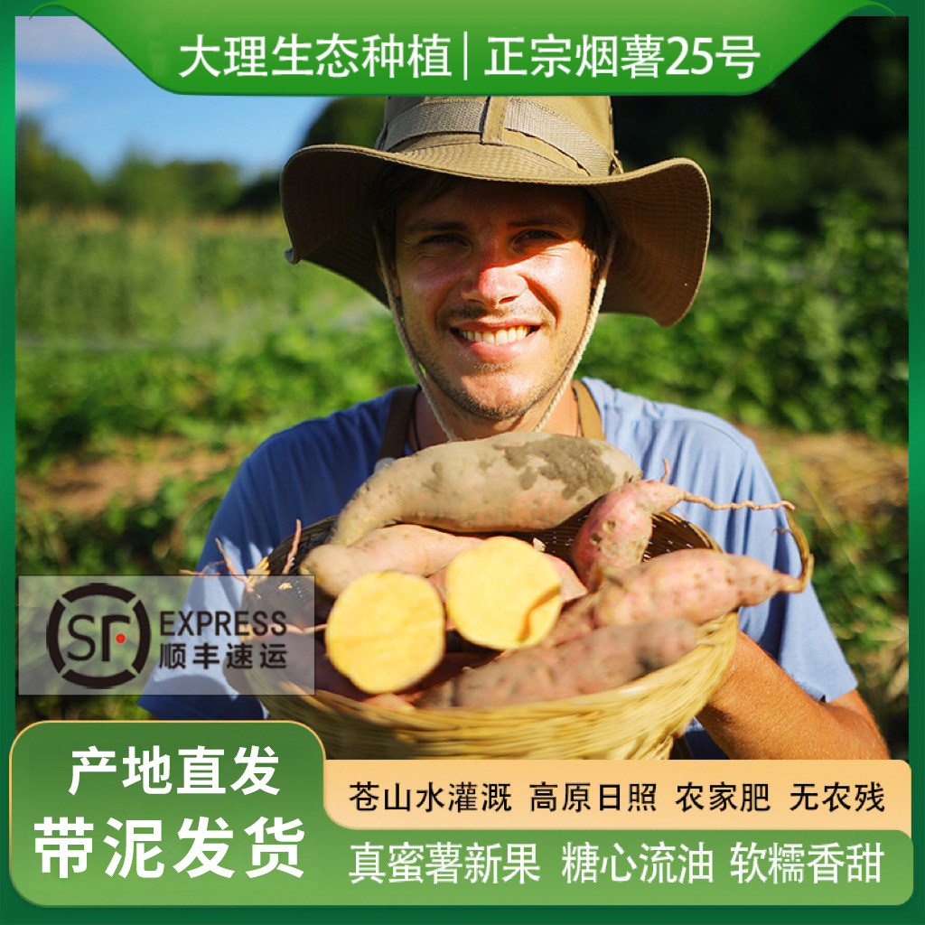 大理生态种植红薯烟薯25号甜蜜薯农科院烤地瓜糖心番薯烤山芋营养,水产肉类/新鲜蔬果/熟食,番薯,淘宝优惠券,粉丝福利购,淘宝优惠卷