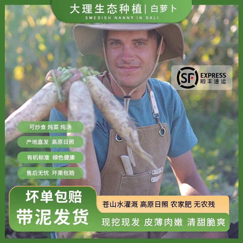 大理生态种植白萝卜煲汤炖菜辅食带泥新鲜蔬菜云南现挖原生态顺丰